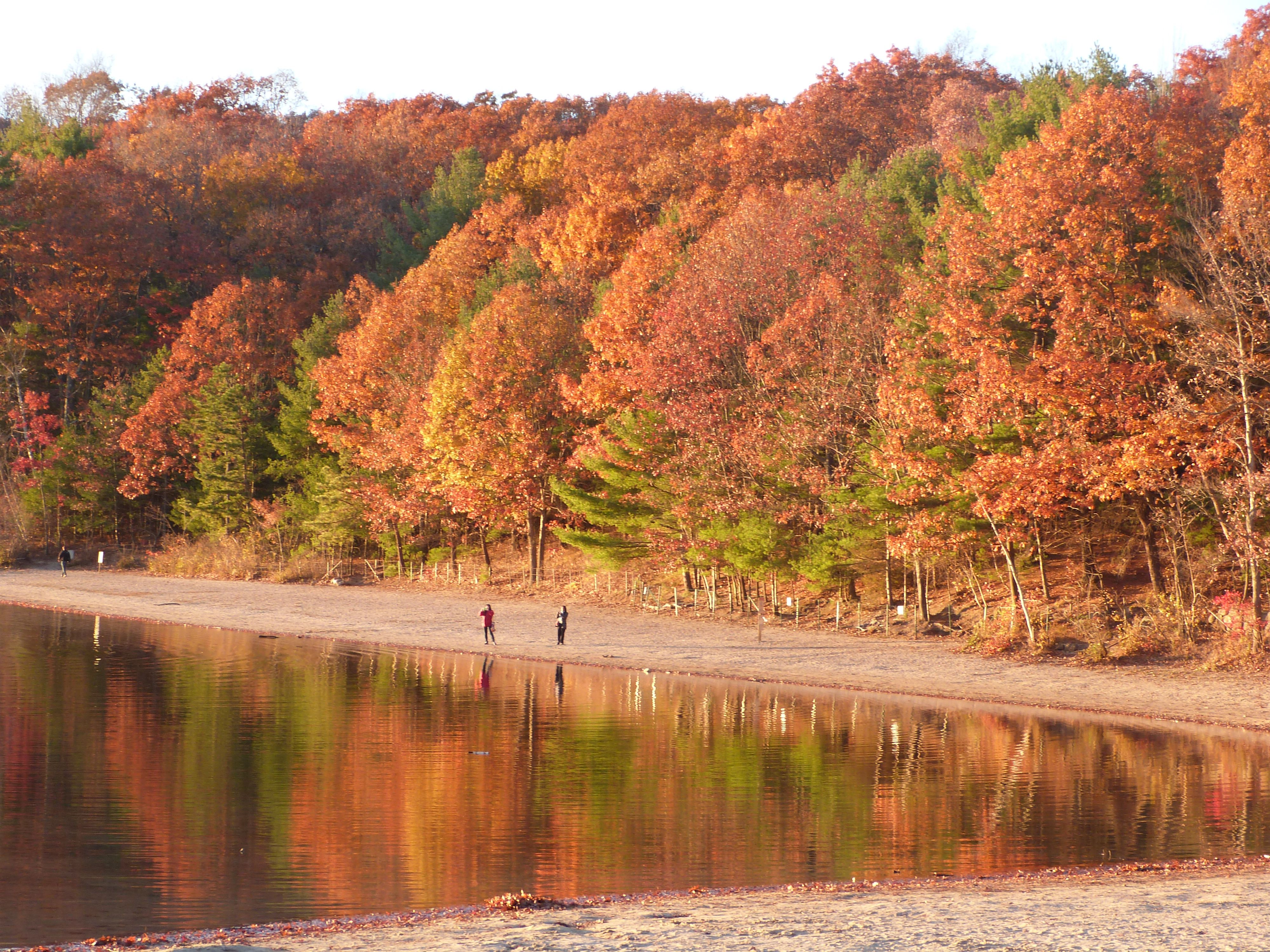 Walden Pond